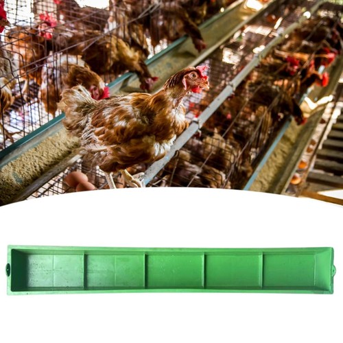 Chicken feeder large capacity - chicken,