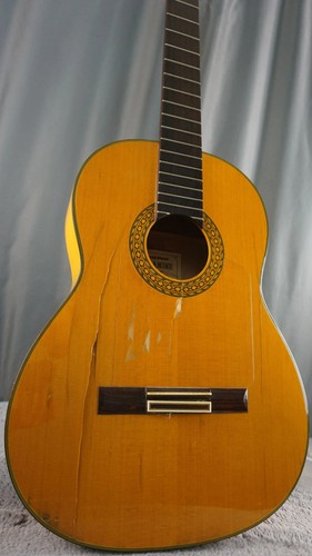 1982 takamine classical - 8f,