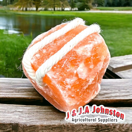 Himalayan rock salt - salt, lick