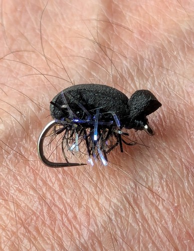 Black foam beetle - x,