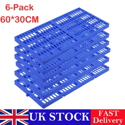 Pack plastic pallets - 6, 60x30cm
