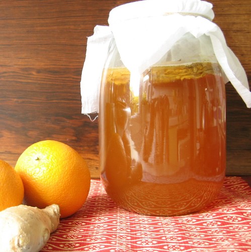 Organic kombucha scoby starter - organic,