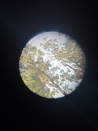 Sokkia theodolite in - sokkia, c3