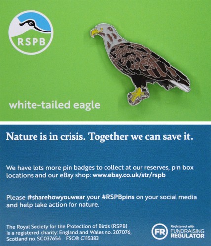 Rspb pin badge niic - pin,