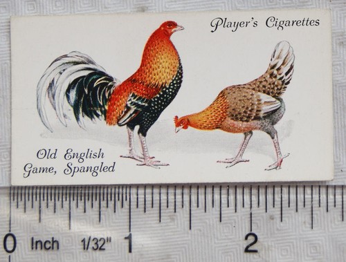 1931 john player sons - john,