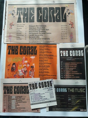 The coral live - the,