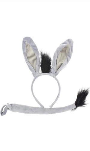 Shrek donkey costume dress - costume, up
