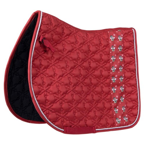 Christmas horse riding - horse,