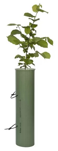 Tubex 60cm shrub standard - 60cm, tree