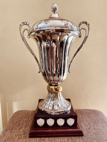 Big large silver - 🏆,