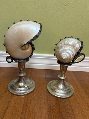 Nautilus shell art deco - shell,