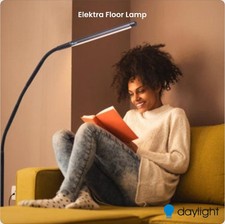 LED Black Floor Lamp Daylight