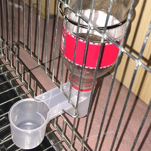Plastic pet bird - plastic,
