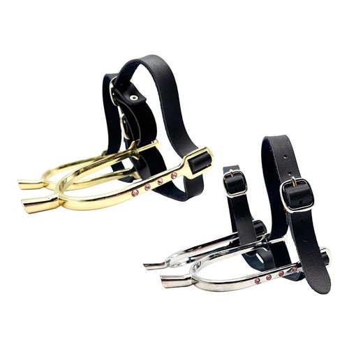 Horse spurs with - horse,