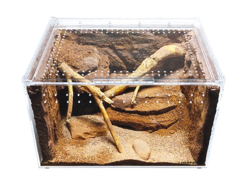 Herpcult acrylic reptile - herpcult,