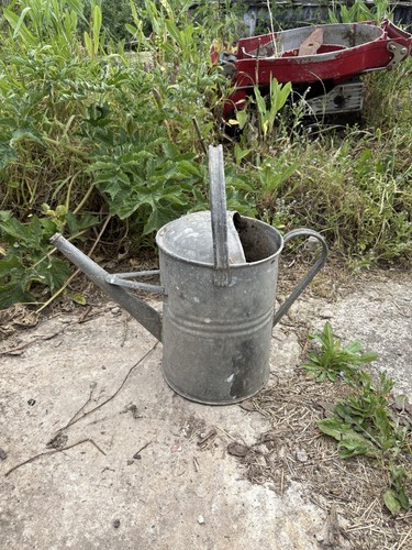 Vintage galvanised watering - vintage,