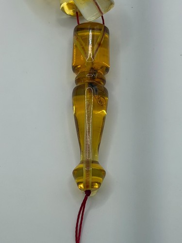 Caribbean amber insects - caribbean,
