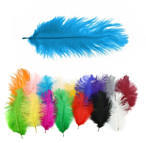 Large long ostrich feathers - large,
