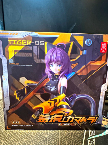 Snail shell tiger - shell, tiger-05