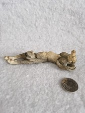 Country Artists A Breed Apart