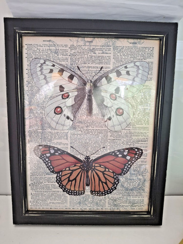 Framed butterfly wall art - framed,
