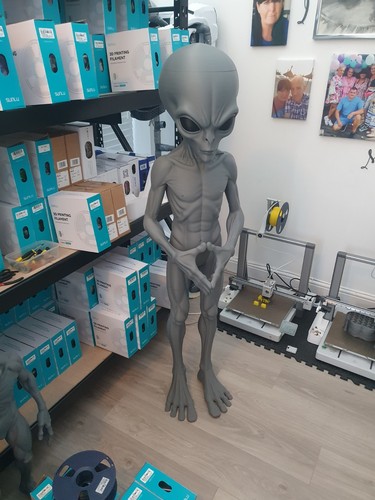 Printed foot tall alien - printed,