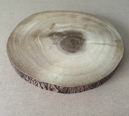 Large wooden log slice - slice, rustic