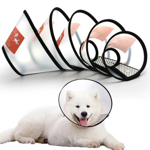 Elizabethan pet protective - pet,