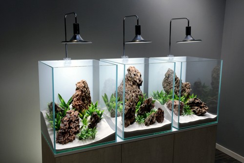 Cube fish tank and - 3,