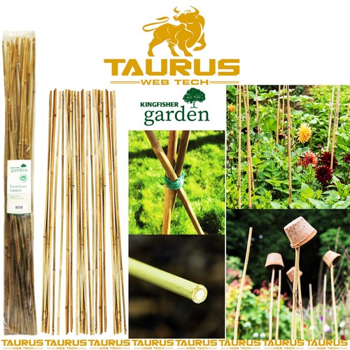Bamboo canes garden 120cm - canes,