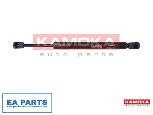 Gas spring boot cargo - gas, area