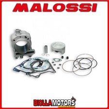 3113955 THERMAL GROUP MALOSSI