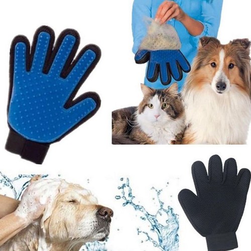 Pet cat dog grooming bath - cat,