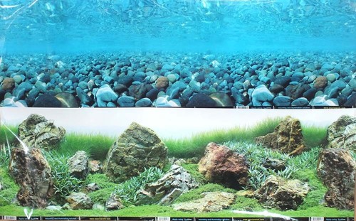 Double sided aquarium - double,