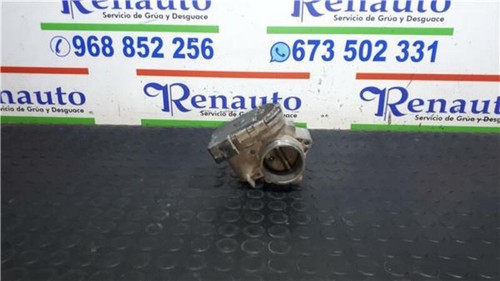 Throttle body assy - assy, citroen