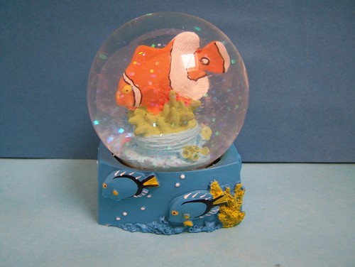 Clown fish coral reef water - fish,