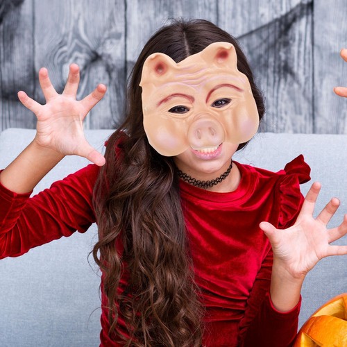 Pig mask photo props - props, face