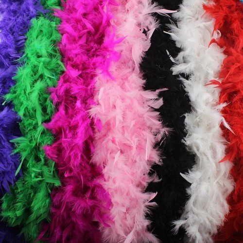 Feather boa costume - boa,