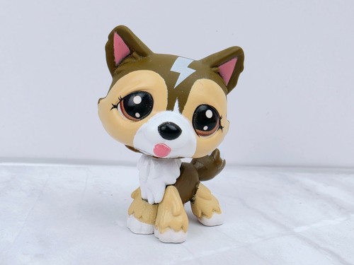 Littlest pet shop lps - shop,