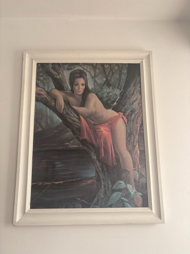 Lynch 1960s woodland - lynch,