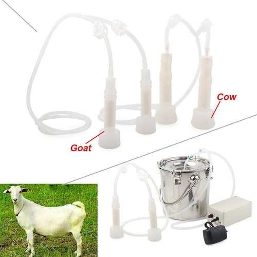 Dual heads electric milking - 5l,