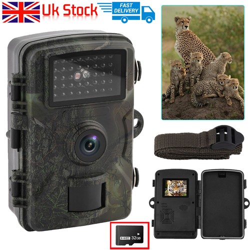 Wildlife trail camera - trail,