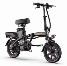 250W Foldable Electric Bike