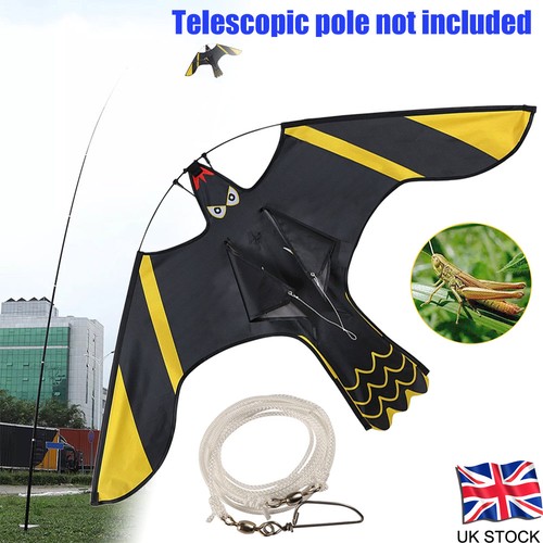 Emulation flying hawk kite - flying,