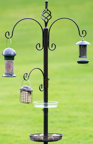 Royale wild bird feeder - bird,