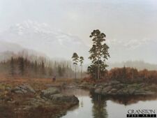 Rare silent Majesty Wildlife  Deer stag  art print by Gerald Coulson,