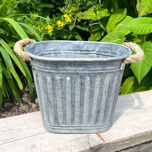 Plant pot outdoor - plant,