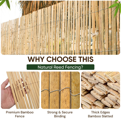Bamboo slat cane - bamboo, slat/cane