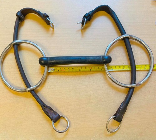 Horse bit running loose - running,