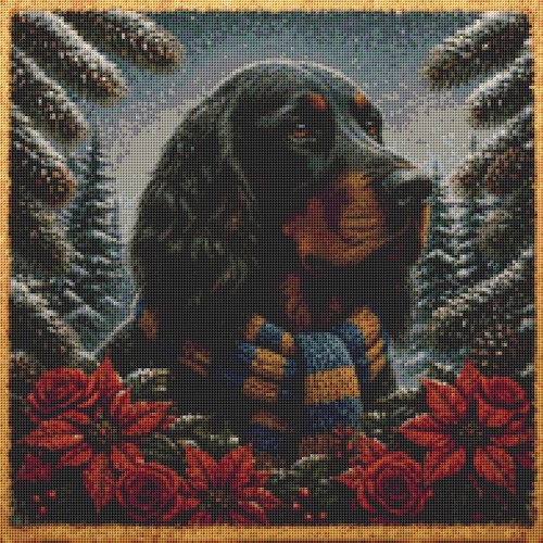 Gordon setter winter - winter, time